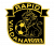 logo Rapid Viadana